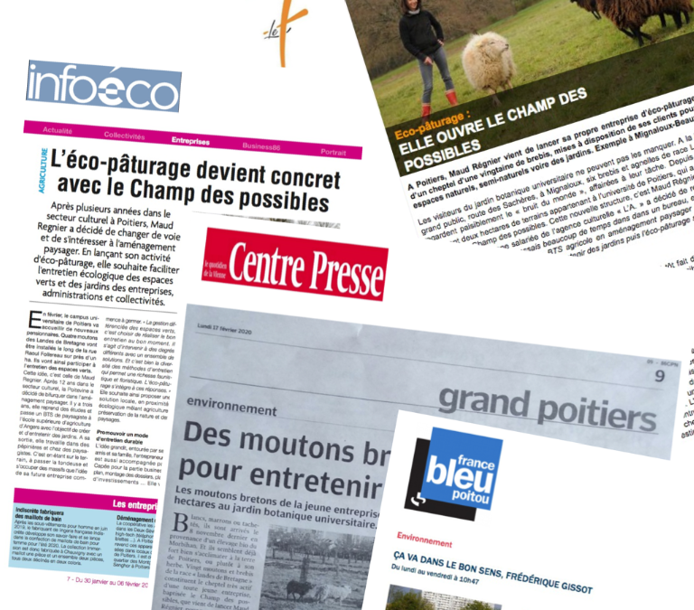 Revue de presse